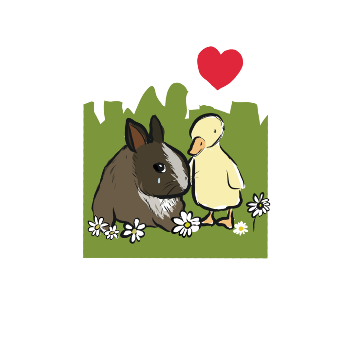 can ducks and rabbits live together
